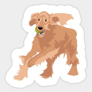 Irish Setter Sticker